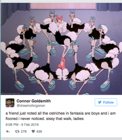 sometransgal:  theshehulkproject:   Link. Tweets: a friend just noted all the ostriches in fantasia are boys and i am floored i never noticed. sissy that walk, ladies only boy ostriches have black and white feathers, gang. it’s an ostrich drag ballet