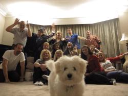 juststareatthestarsforever:  officialcrow:  awwww-cute:  Family Christmas picture photobomb  why yall photobomb the dog   is that boy in the blue shirt single because let me know.