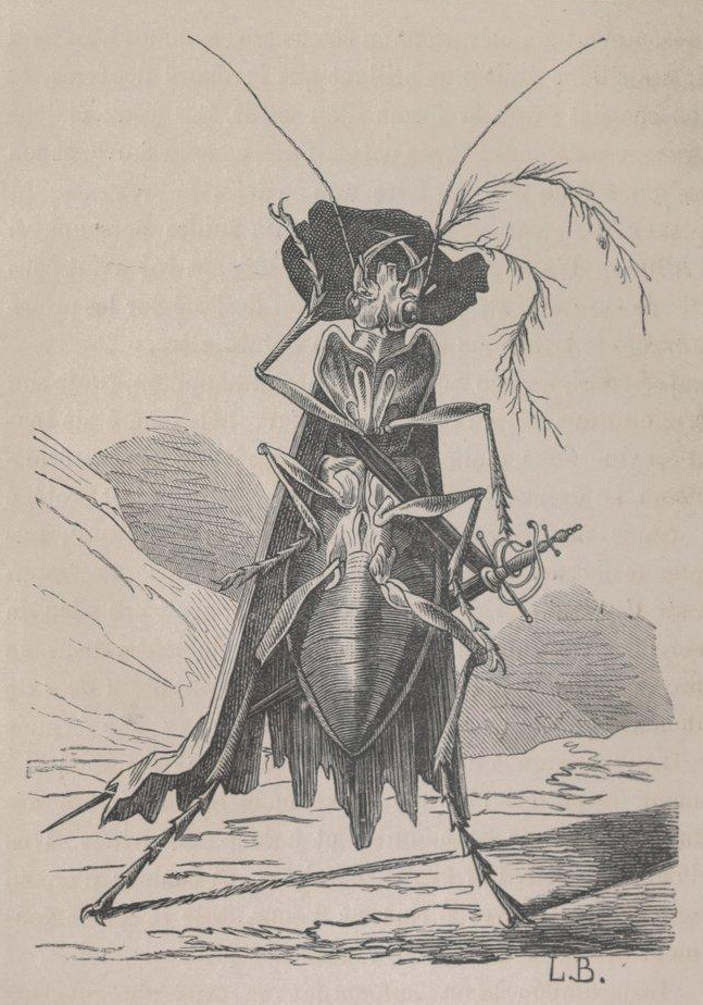 geisterseher:

Les Clients d’un vieux poirier, le monde des insectes, by E. Van Bruyssel. Illustrations by Becker. J. Hetzel, 1878
