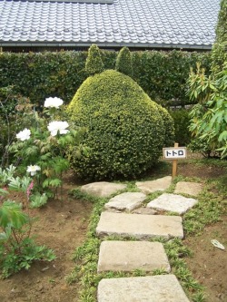 tapioca-purin:  rnortal:  My Neighbor Totoro garden in Japan!  source  「空に行きましょう。」 