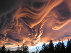 justdoitdaily-fitblr:  sheslike-themoon:  sixpenceee:Asperatus Clouds are so rare that they were only classified as of 2009. We know little about them other than the fact that they look mesmerizing.  Whoa  SHIT