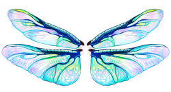 rrrushi:  Insect wings are sooooo prettyI’m really happy with how this came out!