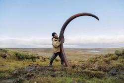 bootyanddoubloons:  sixpenceee: A woolly mammoth’s tusk is unearthed from a Siberian riverbed.  Cool