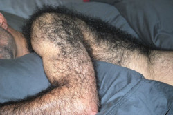 hairyfuckers:  Get lost in the fur   I want him to warm up with that hair