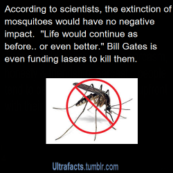 ultrafacts:  Source If you want more facts, follow Ultrafacts This is actually one of very few species that most scientists agree the world could live without. It’s generally accepted that there would be slight changes in world ecosystems until another
