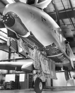 aboyandhisboomstick:  rocketumbl:  GAU-8 Avenger  A giant fucking gun that they engineered to fly. Not a plane. 