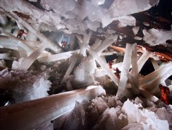 bacteriia:  Quartz formations in “Cueva de los cristales”, Naica Mine, Mexico.