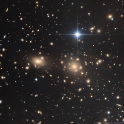 The Coma Cluster of Galaxies #nasa #apod #comacluster #galaxies #galaxycluster #interstellar #intergalactic #universe #space #science #astronomy