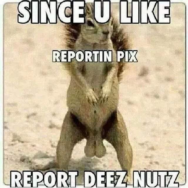 How do you like deez nutz