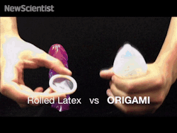 kitarcane:  awesomeness2:  brownglucose:  prettyboyshyflizzy:  condomdepot:  dimensao7:  Origami condom adds pleasure to safe sex  We personally can not wait until Origami condoms become available in the market.  :)    This gif lol  holy f….that is