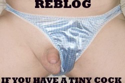 whitepussydickslut:omgsmallpenis:ahumliatedhusband-com: So cute, don’t you just want to kiss it’s tiny little head  That looks like me when I’m soft. :)   Any ladies like the look of tiny dicks in panties?