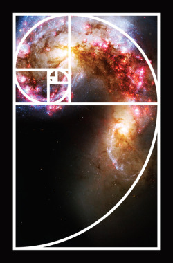 artagainstsociety:  Fibonacci Spiral Galaxy by Galactic Mantra   For you, Sir.I love giving you visual gifts.