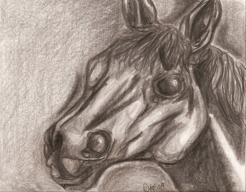its a horse. a daily sketch from a few days ago. :)