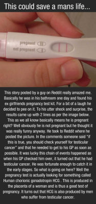 everlastingjesus:  ya know what to do guys  Holy shit this is actually a real thing.   http://www.huffingtonpost.com/2012/11/07/man-pregnancy-test-testicular-cancer-_n_2088353.html