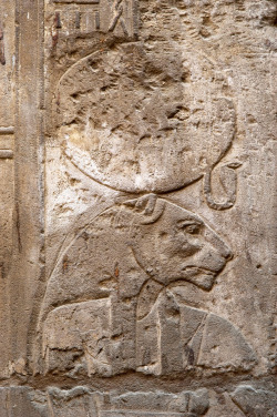 grandegyptianmuseum:  The warrior goddess Sekhmet (the powerful one), depicted as a woman with the head of a lioness, crowned with the solar disk and the uraeus. Egyptian Empire, ca. 1550-1077 BC. Detail from the Temple of Luxor.