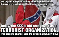 beyonceofmysticfalls:  daniellemertina:  smallrevolutionary:  chrismenning:  WE PETITION THE OBAMA ADMINISTRATION TO: Recognize the Klu Klux Klan as a domestic terrorist organization &amp; make their eradication a Homeland Security priority.The North