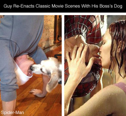transchesterorchestra:  wilderebellion:  tastefullyoffensive:  Guy Re-Enacts Classic Romantic Movie Scenes With His Boss’s Dog On His Lunch Breaks [mmsspp/via]Previously: Classic Movie Quotes Updated For The Digital Age  I’M DYING also I feel like
