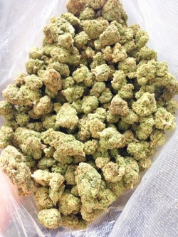 stonerthabear:  To the weekend, stay blazed everyone keep blowing thick milky clouds! 420army Stonerthabear 