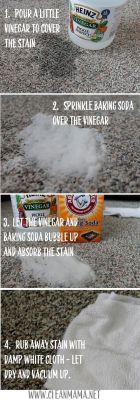 sweetestesthome:  Step by Step Carpet Stain Removal via Clean MamaClick to check a cool blog!