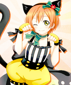 celices: rin hoshizora + cat eats (◕‿◕✿) → for her ♥