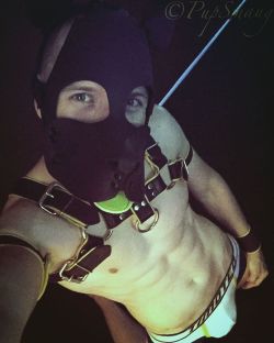 pupsmaug:  🐾Pup is hiding something in his undies hehe🐾#kinkygay #gaymodel #abs #timoteostudio #mrsleather #sixpack #sillypup #pupplay  My tumblr crush