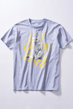 nicholrr234:  Cartoon Tees CollectionCat &gt;&gt; CatPopeye &gt;&gt; PlanetPikachu &gt;&gt; PikachuBread &gt;&gt; CatCat &gt;&gt; CatWhich one is your fav?