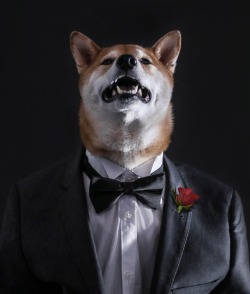 mensweardog:  The Dogfather 🌹 