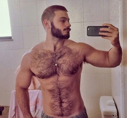 gymratskip:  malekopajo:  “I just wanted to send my latest pic to Skippy so he can post it on his blog.”“My chest hair has all grown back from when Skippy roughly rubbed it off with his own hairy chest.”“But, it’s back, thicker, and tougher