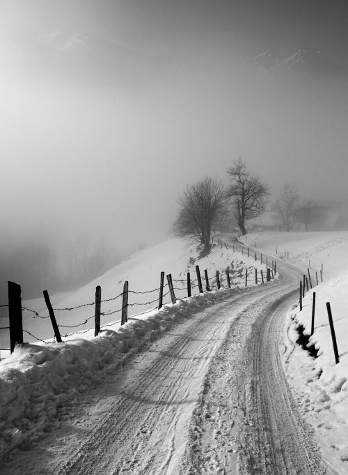 ollebosse:  ‘ A Winter’s Tale ‘  Guido Krüttgen Photography  