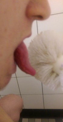 likedirtytoilets:  love licking toilet brush