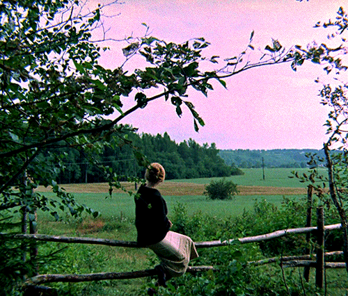 victoria-pedretti:We don’t trust nature that is inside us. Always this suspiciousness, haste, and no time to stop and think. THE MIRROR (1975) dir. Andrei Tarkovsky