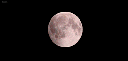 autremondeimagination:El fenómeno de la luna sangrienta.   4 DE ABRIL DEL 2015