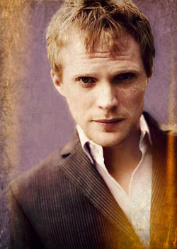 I vote Paul Bettany as Newt Scamander