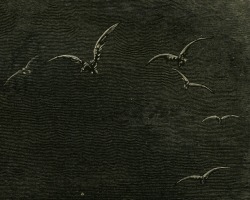 achasma:The Deluge (detail) by Gustave Doré, c. 1866.