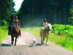 You can&rsquo;t get closer to nature,  nude on the back of a horse riding thru the beautiful forest und the sun and the sky 😍