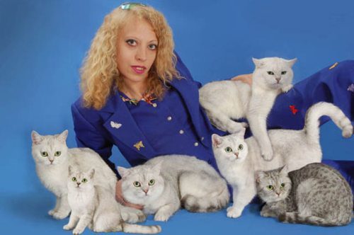Cat glamour shots milf picture