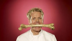i-aint-bovvered-deactivated2014:  just in case you didn’t notice: gordon ramsay is an adorable little shit 