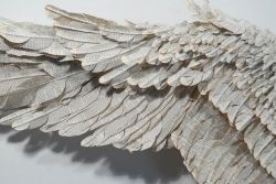 vethox:  Susan Hannon’s lyrical, ten-foot wide sculptures of “wings” crafted out of abandoned Bibles, giving new life to books. 