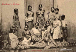 Sri Lankan Rhodiyas, via Historic images of Ceylon.  