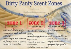 pantyraider32:  faggot53:  Source: Amber’s Nectar  Nice panty sniffing guide!  Glad that somebody finally put this together&hellip;♠