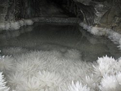 magickandcrack:  Crystal flower poolthese are crystals in a cave somewhere unknown. that water looks like the fountain of youth, but a bit creepy since the picture is black and white 