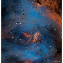 Stars and Globules in the Running Chicken Nebula #nasa #apod #stars #star #molecular #gas #dust #ic2944 #runningchicken #nebula #molecularclouds #thackerays #globules #galaxy #universe #space #science #astronomy