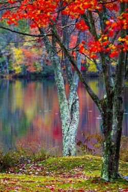 maya47000:  Colors of Fall by Anatoliy Urbanskiy 