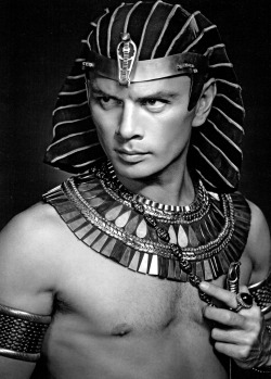 1bohemian:Yul Brynner photographed by Y. Karsh for The Ten Commandments (1956) 