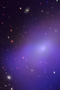 tomasorban:  Elliptical Galaxy NGC 1132. 