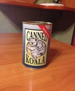 pr1nceshawn:  What Canned Koala looks like…