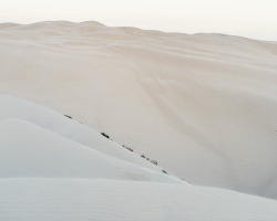thomasprior:  Dunes 