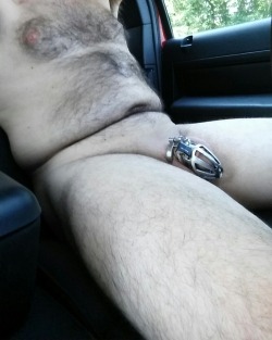 show-us-your-locked-cock:  Hubby showing his locked cock in the car