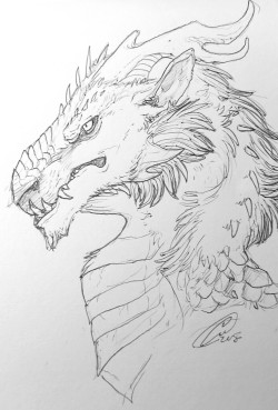 fr-ari:  Alternative interpretation of a tundra? ?? So fierce!  Stuck in a car for 13 hours so I may as well draw some. Leave a dragon in my ask box and I may doodle some unless I start to feel nauseous or something and can’t continue!