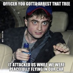 welele:  Agente, debe arrestar a ese árbol Nos atacó cuando estabamos pacificamente volando en nuestro coche